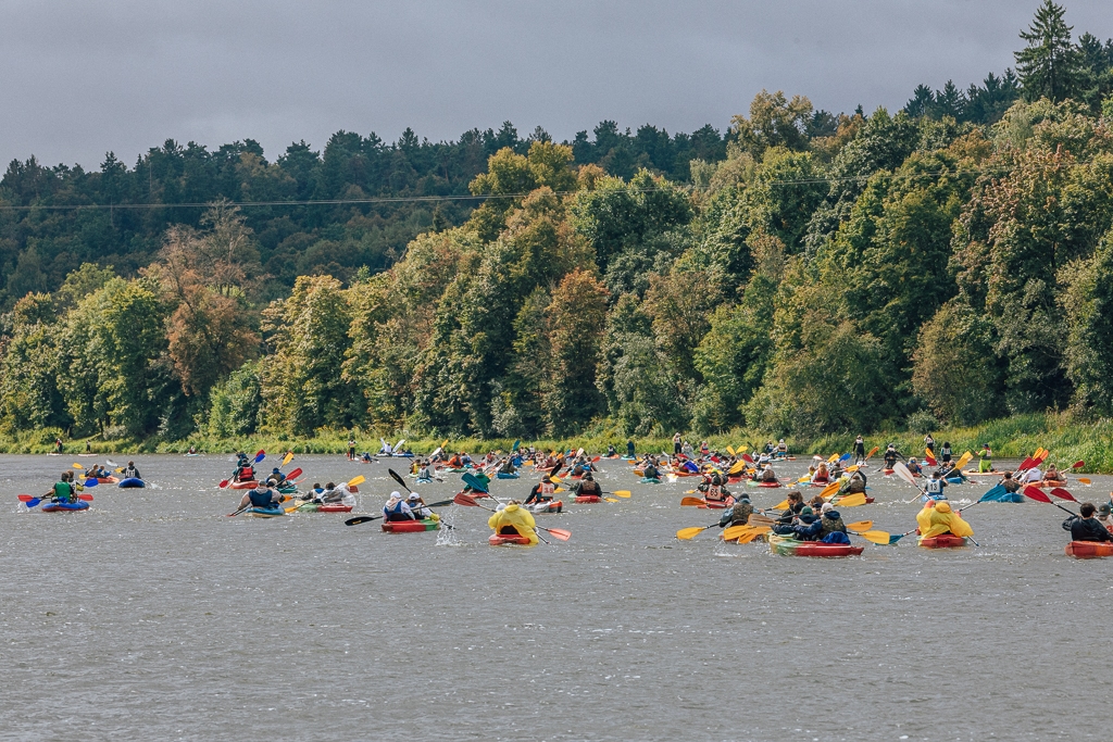 gal/  Regata_2026/229.jpg